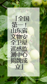 全国第一！山东省文物安全卫星遥感监测中心揭牌成立