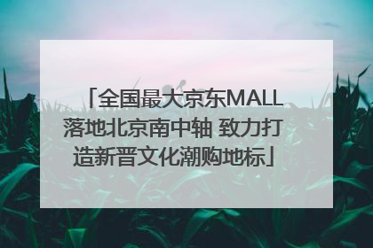 全国最大京东MALL落地北京南中轴 致力打造新晋文化潮购地标