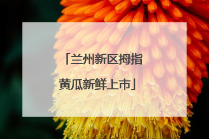 兰州新区拇指黄瓜新鲜上市