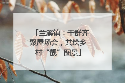 兰溪镇：干群齐聚屋场会，共绘乡村“靓”图景