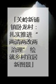 关岭新铺镇卧龙村：扎实推进“两清两改两治理” 绘就乡村宜居新图景