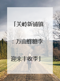 关岭新铺镇：万亩蜂糖李迎来丰收季