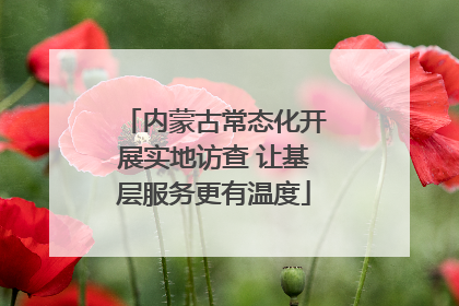 内蒙古常态化开展实地访查 让基层服务更有温度