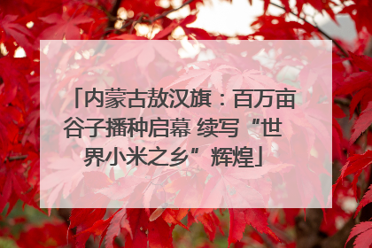 内蒙古敖汉旗：百万亩谷子播种启幕 续写“世界小米之乡”辉煌