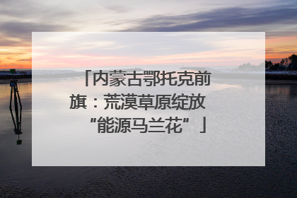 内蒙古鄂托克前旗：荒漠草原绽放“能源马兰花”