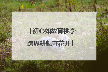 初心如故育桃李 跨界耕耘守花开