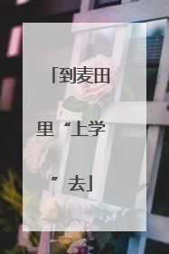 到麦田里“上学”去