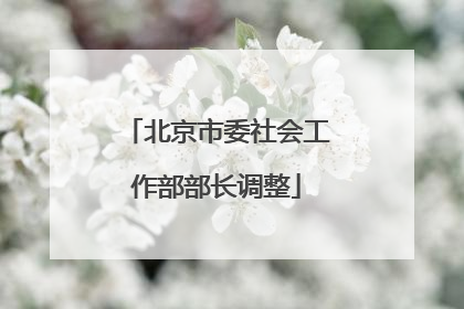 北京市委社会工作部部长调整