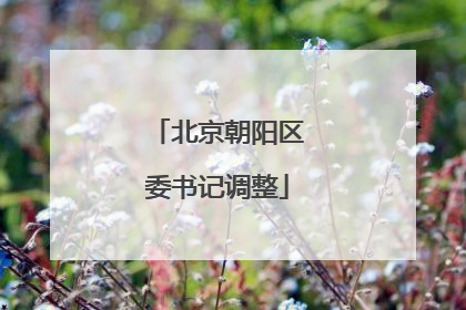 北京朝阳区委书记调整