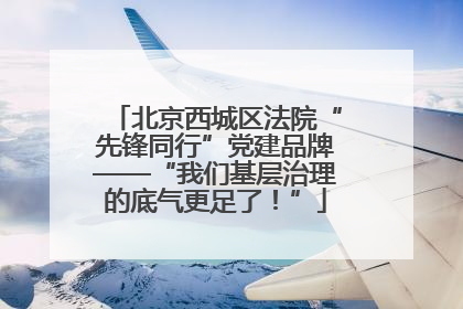 北京西城区法院“先锋同行”党建品牌——“我们基层治理的底气更足了！”