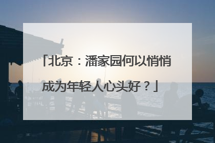 北京：潘家园何以悄悄成为年轻人心头好？