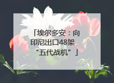 埃尔多安：向印尼出口48架“五代战机”