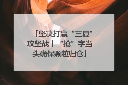 坚决打赢“三夏”攻坚战丨“抢”字当头确保颗粒归仓