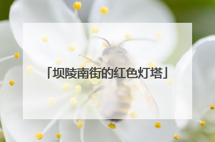 坝陵南街的红色灯塔