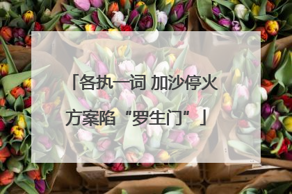 各执一词 加沙停火方案陷“罗生门”
