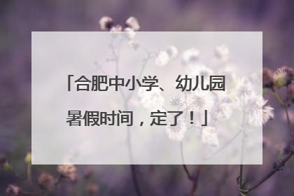 合肥中小学、幼儿园暑假时间，定了！