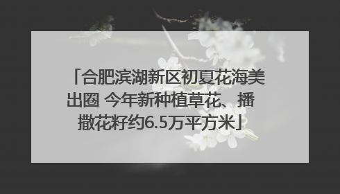 合肥滨湖新区初夏花海美出圈 今年新种植草花、播撒花籽约6.5万平方米