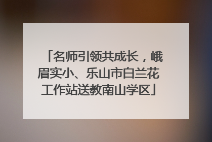 名师引领共成长，峨眉实小、乐山市白兰花工作站送教南山学区