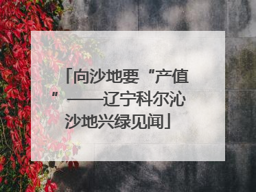 向沙地要“产值”——辽宁科尔沁沙地兴绿见闻