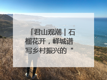 君山观潮｜石榴花开，峄城谱写乡村振兴的“新”篇章