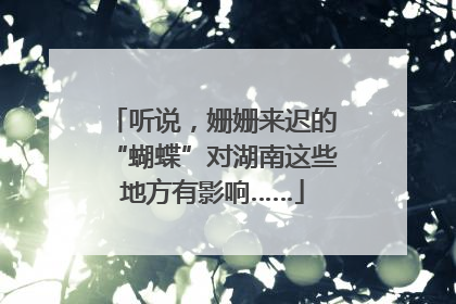 听说，姗姗来迟的“蝴蝶”对湖南这些地方有影响……