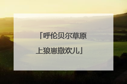 呼伦贝尔草原上狼崽撒欢儿