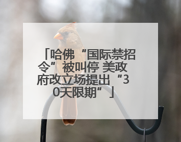 哈佛“国际禁招令”被叫停 美政府改立场提出“30天限期”
