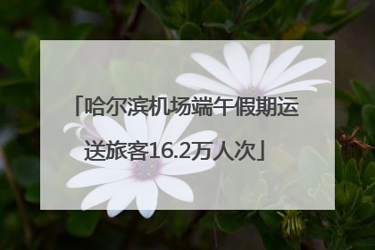 哈尔滨机场端午假期运送旅客16.2万人次