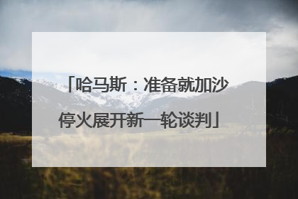 哈马斯：准备就加沙停火展开新一轮谈判