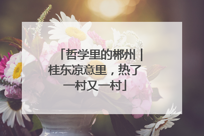 哲学里的郴州｜桂东凉意里，热了一村又一村