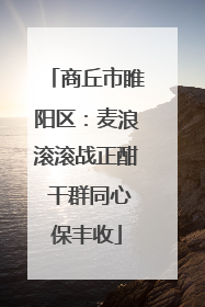 商丘市睢阳区：麦浪滚滚战正酣 干群同心保丰收