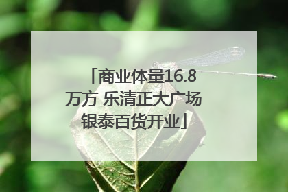 商业体量16.8万方 乐清正大广场银泰百货开业