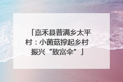 嘉禾县普满乡太平村：小菌菇撑起乡村振兴“致富伞”
