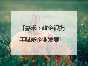 嘉禾：政企银携手赋能企业发展