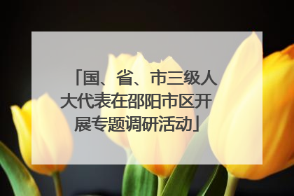 国、省、市三级人大代表在邵阳市区开展专题调研活动