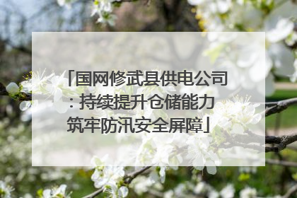 国网修武县供电公司：持续提升仓储能力 筑牢防汛安全屏障