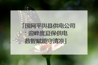 国网平舆县供电公司：迎峰度夏保供电  数智赋能守清凉