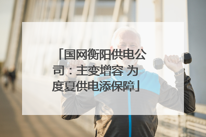国网衡阳供电公司：主变增容 为度夏供电添保障