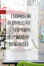 国网长泰区供电公司：守护绿色生产赋能世界环境日