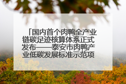 国内首个肉鸭全产业链碳足迹核算体系正式发布——泰安市肉鸭产业低碳发展标准示范项目顺利通过验收