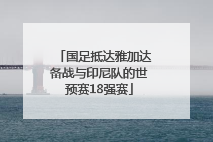 国足抵达雅加达备战与印尼队的世预赛18强赛