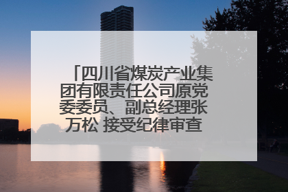 四川省煤炭产业集团有限责任公司原党委委员、副总经理张万松 接受纪律审查和监察调查