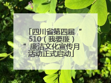四川省第四届“510（我要廉）”廉洁文化宣传月活动正式启动