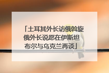 土耳其外长访俄斡旋 俄外长说愿在伊斯坦布尔与乌克兰再谈