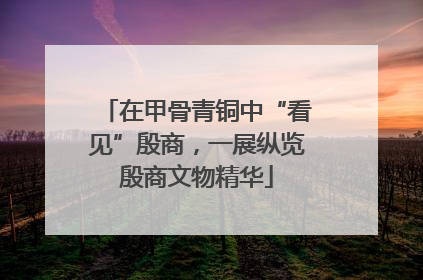 在甲骨青铜中“看见”殷商，一展纵览殷商文物精华