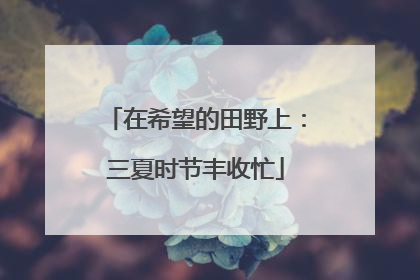在希望的田野上：三夏时节丰收忙