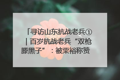 寻访山东抗战老兵①｜百岁抗战老兵“双枪滕黑子”：被粟裕称赞的“孤胆英雄”