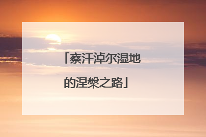 察汗淖尔湿地的涅槃之路