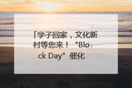 学子回家，文化新村等您来！“Block Day”催化学院式街区新生态