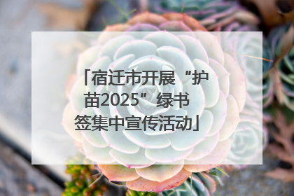 宿迁市开展“护苗2025”绿书签集中宣传活动
